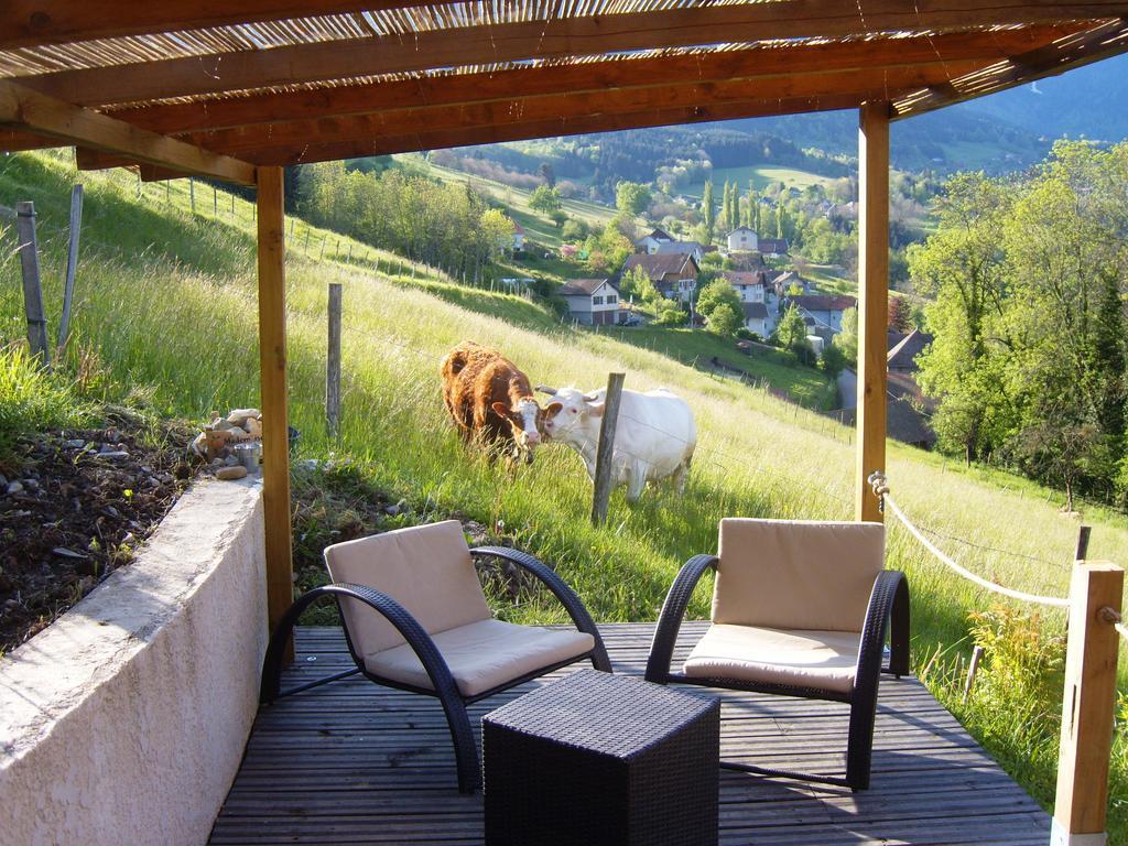 Gite Au Coeur Du Chalet En Belledonne Vers Prapoutel Les 7 Laux Sainte-Agnès 部屋 写真